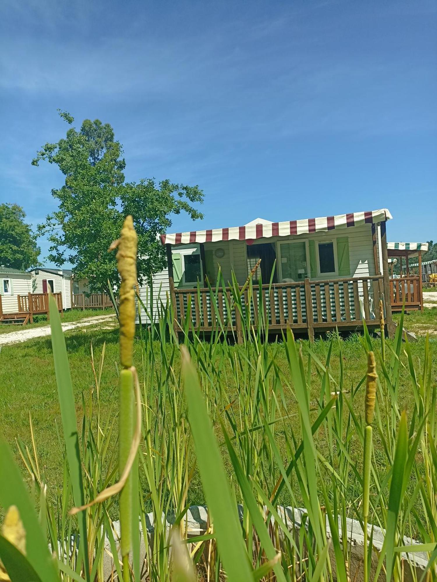 Tinyhouse Tilda - Near Famous Beaches Pataias Exterior photo